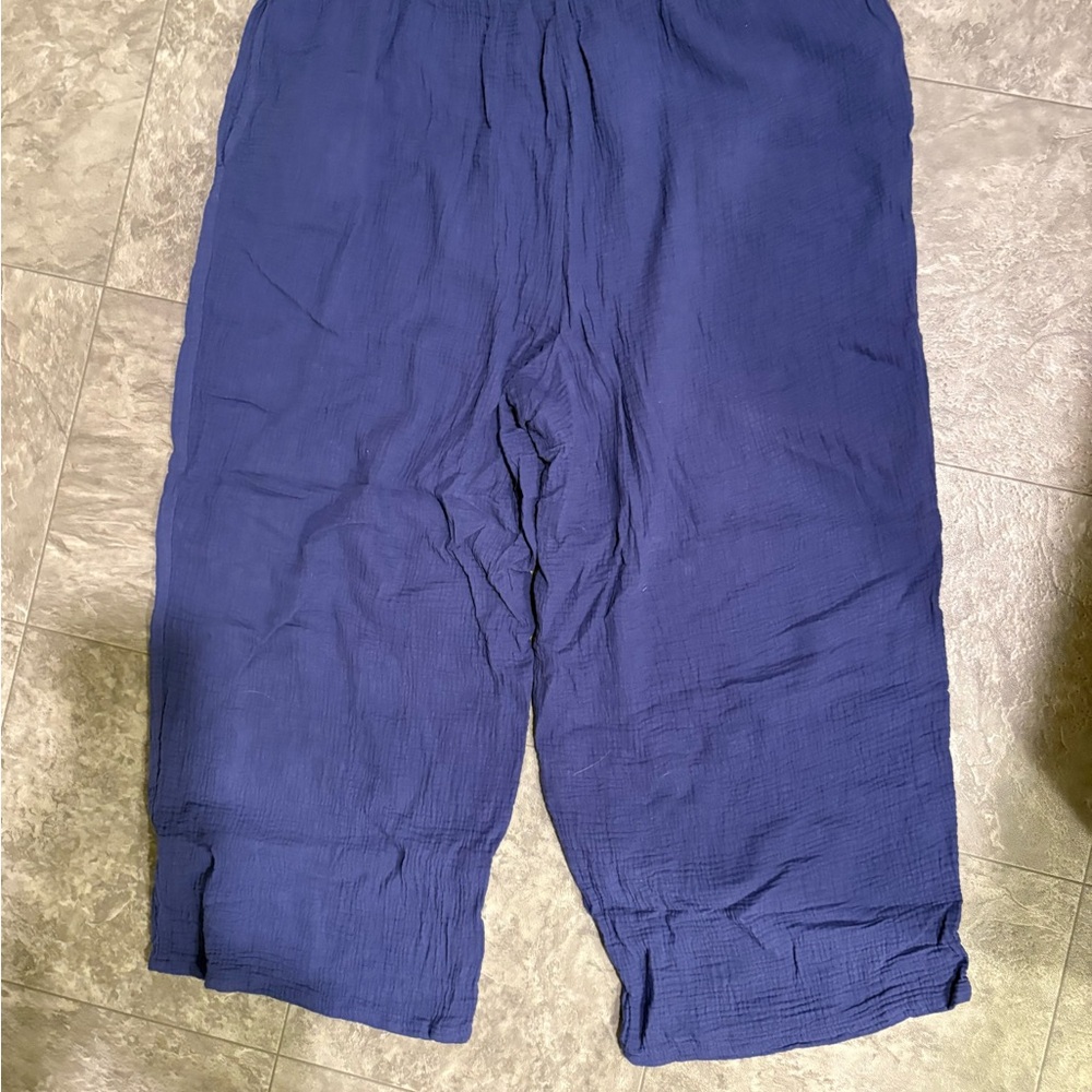 Jessica Simpson Womens Flowy Blue Pants 2X - Picture 2 of 7